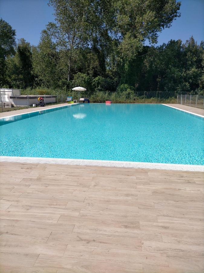 Seaside Flat With Swimming Pool And Private Parking Apartment Calambrone Bagian luar foto